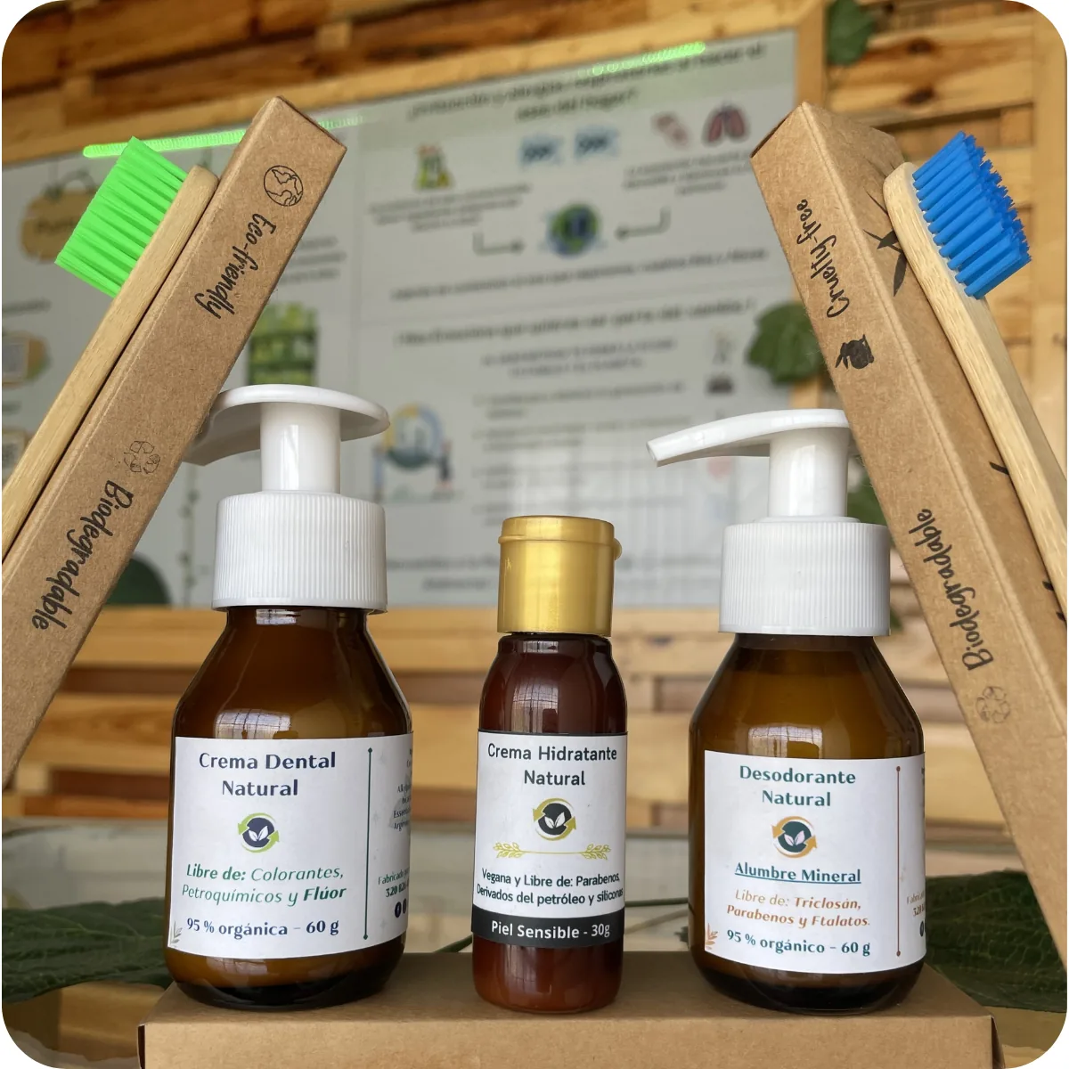 Cepillos dentales de bambú del Kit Natural Care